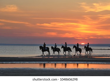 In the picture sunset at sea.Reflections of the sunset light on the water, beautiful colors of the sky.Horses rode along the shore. - Powered by Shutterstock