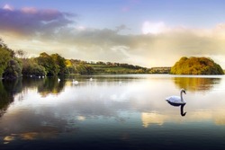 Imagen De Un Cisne En Un Lago En Las Tierras Altas Escocesas