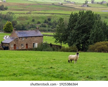 Picture Taken Of A Beautiful Cottage In The North Yorkshire Countryside. 