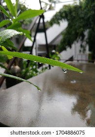 Picture Was Taken On 9th April 2020 Summer Rain In Chennai Raindrops