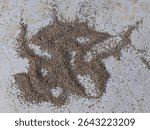 picture, these "grains" look like dirt or remnants of insect activity, most likely termites, known as termite frass. 