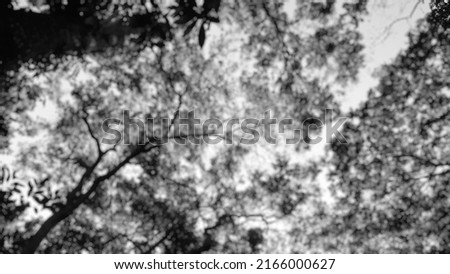 Similar – Image, Stock Photo tree cathedral Environment