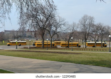           A picture of two rows of school busses faces opposite directions.