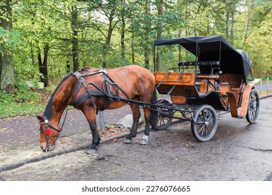 picture of a vintage horse-drawn carriage standing on the side of a road