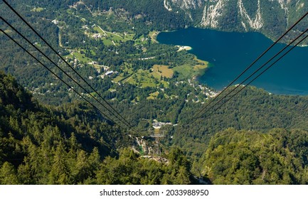 A picture of the Vogel Cable Car and the surrounding landscape.