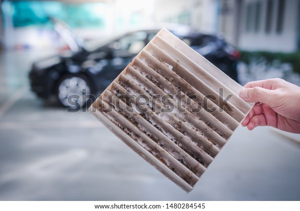 Picture of the waste of the air filter, which the\
rat bite the car air filter. Customer - The car mechanic in the\
service center is checking the white car air filter that is very\
dirty.