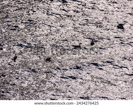 Picture of the Water Pattern Texture Background