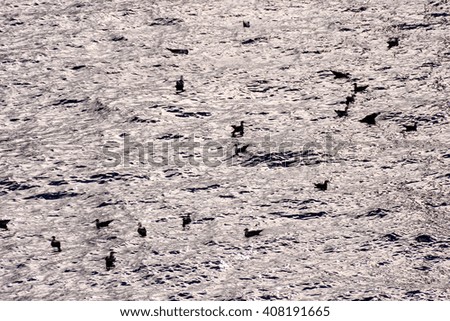 Picture of the Water Pattern Texture Background