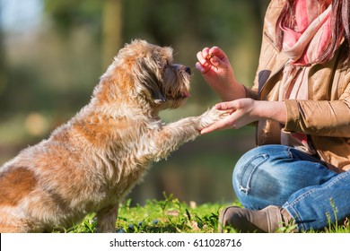 Picture Of A Woman Giving Her Dog A Treat And Getting The Paw