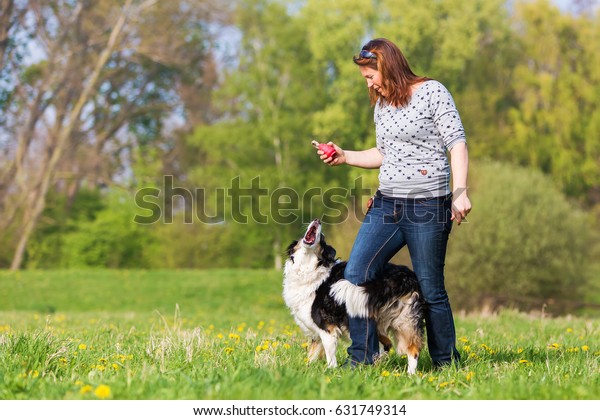 border collie dancing with woman