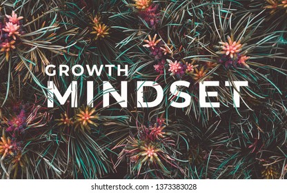 6,183 Growth’ Mindset Images, Stock Photos & Vectors | Shutterstock