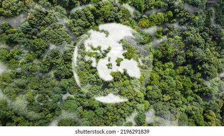 Picture of the world's continents in the clouds Among the greenery, ecological, conservation, climate change, global warming and natural fog.