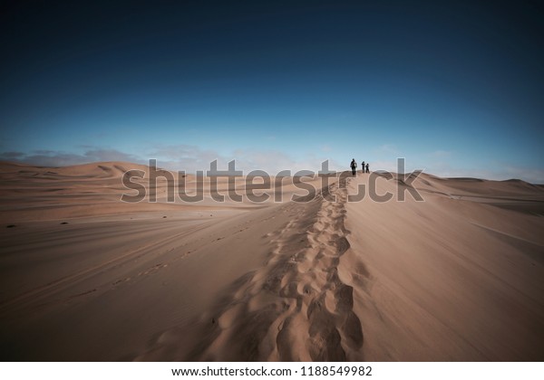 Pictures from the African desert, impressive\
desert images and animal\
shots.