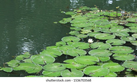 Pictures Of Brackenridge Park San Antonio Texas