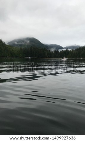 pictures of critter cove Nootka sound brattish Columbia
