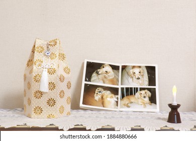 Pictures Of Deceased Miniature Dachshunds. Storing The Bones Of A Pet Dog In An Urn. The Candle Is Shining.