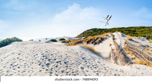 Pictures And Impressions Of The Baltic Sea Coast In Germany