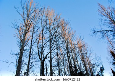 Pictures From Kenai National Wildlife Refuge