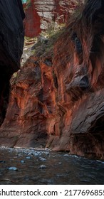 Pictures From National Parks And Various Hikes Throughout Utah Like Bryce Canyon And Zion National Park