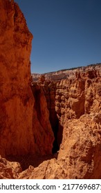 Pictures From National Parks And Various Hikes Throughout Utah Like Bryce Canyon And Zion National Park