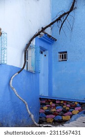 Pictures I took in the blue city, Chefchaouen, Morocco - Shutterstock ID 2311567431