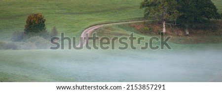 Picturesque aerial view of a winding rural road through the green hills, fields and forest in a fog at sunrise. Oak, spruce, birch trees. Colorful golden, red, orange leaves. Nature, seasons, autumn