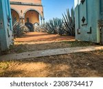 Picturesque Agave Pathway and Turquoise door