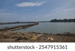 Picturesque Aquaculture Scene with a Pond, Thick Vegetation, and Overarching Trees