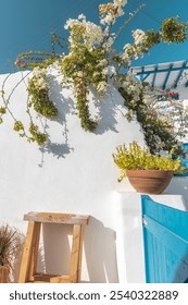The picturesque architecture of Paros features a bright blue door and whitewashed walls adorned with blooming flowers under a clear sky, showcasing the island's natural beauty.