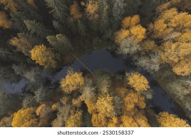 Picturesque autumn forest. Aerial view. Pedestrian bridge over the river - Powered by Shutterstock