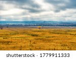 Picturesque autumn landscape in blue and yellow colors. Panoramic view from hill to lowland with single trees and field in cloudy misty day. Colorful autumnal nature, beautiful natural background