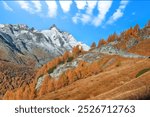 Picturesque autumn landscape  at Grossglockner High Alpine Road with Grossglockner mountaine .  Location:  Grossglockner high alpine road , between Salzburg and Carinthia state, Austria