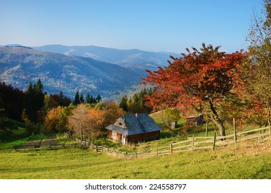 Picturesque autumn rural landscape with a tree with red leaves and old hut on a background of blue sky in autumn (relaxation - concept) - Shutterstock ID 224558797
