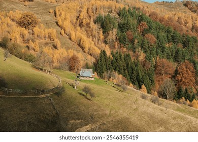 Picturesque autumn scene of a rustic cabin nestled in a vibrant hillside, surrounded by colorful foliage and grazing sheep. A tranquil, idyllic rural landscape. Carpathian Mountains, Romania - Powered by Shutterstock