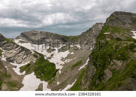 picturesque beautiful panorama view of the mountain gorge mountain ranges covered with greenery forests and snow against the background of the blue sky, Mountain flowers rhododendrons, hiking, tourist