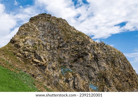 picturesque beautiful panorama view of the mountain gorge mountain ranges covered with greenery forests and snow against the background of the blue sky, Mountain flowers rhododendrons, hiking