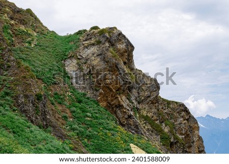 picturesque beautiful panorama view of the mountain gorge mountain ranges covered with greenery forests and snow against the background of the blue sky, Mountain flowers rhododendrons, hiking, tourist