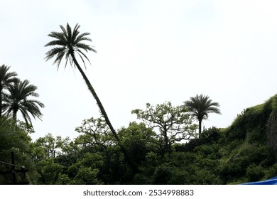 A picturesque blend of nature and history.Palm trees stretching toward the sky,a calm pond reflecting nature's beauty, and ancient stone statues blending seamlessly with the lush greenery around them. - Powered by Shutterstock