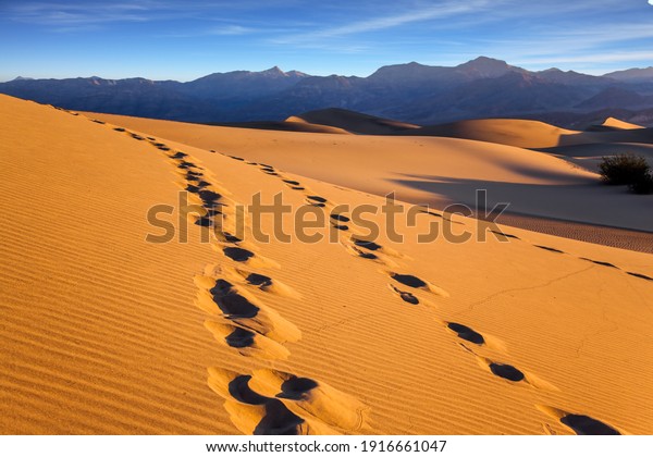 The picturesque\
chains of footprints in the sand dunes. Mesquite Flat Sand Dunes,\
California. USA. Orange sunset in the desert. Concept of active,\
ecological and photo\
tourism