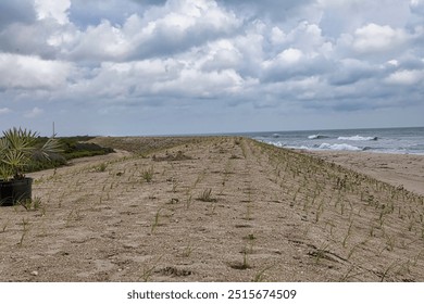 A picturesque coastal landscape with a blue sky, fluffy clouds, and rolling green hills. The beach stretches out towards the horizon, where the ocean meet. Elements of this image furnished by NASA - Powered by Shutterstock