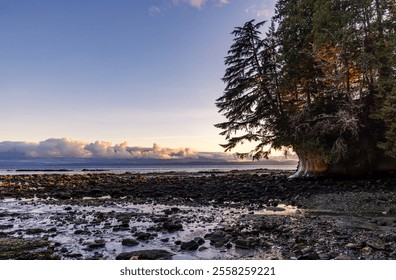 The picturesque coastline of Port Renfrew on Vancouver Island showcases stunning natural beauty with rocky shores, towering trees, and a serene seascape. Capturing the essence of coastal tranquility. - Powered by Shutterstock