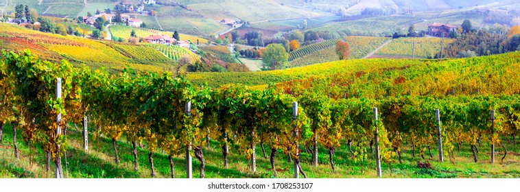 Picturesque countryside of Piedmont with yellow vineyards and small villages. Wine region of Italy