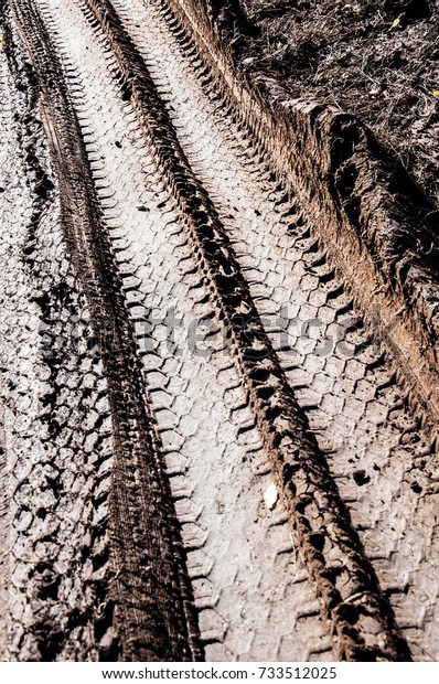 Picturesque dirt road. car track. Tread pattern\
from car tires