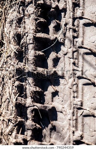 Picturesque dirt road. car track. Tread pattern
from car tires