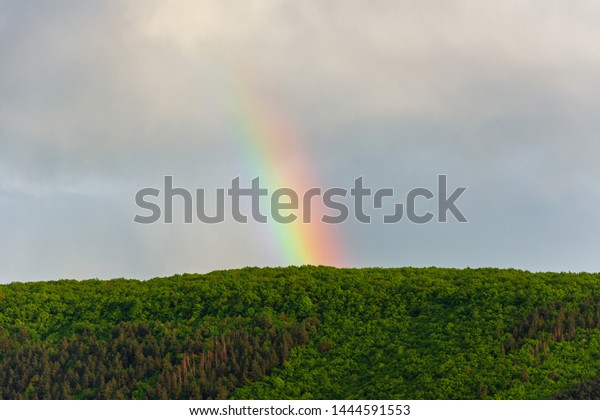 Featured image of post Scenery Full Real Rainbow : About 22% of these are decorative flowers &amp; wreaths.