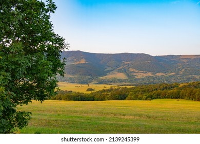 Picturesque Fields And Mountains In Georgia In Summer