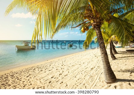 Picturesque Fishing Boats Parked In The Clear Ocean On A Background Of Palm Trees And Beautiful Picturesque Fishing Boats Parked In The Clear Ocean On A Background Of Palm Trees And Beautiful