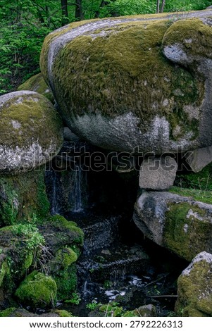 Picturesque forest spring trickling between giant green covered stones