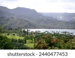 Picturesque Hanalei Valley and Hanalei Bay  with Napali Coast mountains in the background, lush greenery and taro fields