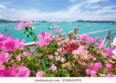 A picturesque harbor scene featuring vibrant pink flowers, sailboats, and a clear blue sky. The tranquil water and scenic lighthouse add to the serene atmosphere of this coastal landscape. - Powered by Shutterstock